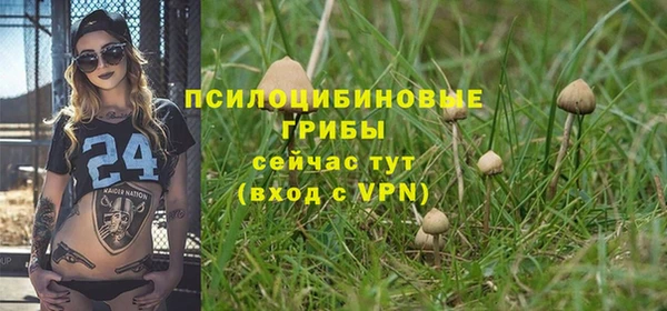 МДПВ Горно-Алтайск